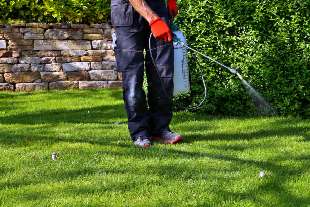 Reliable Clive, IA Pest Control Solutions